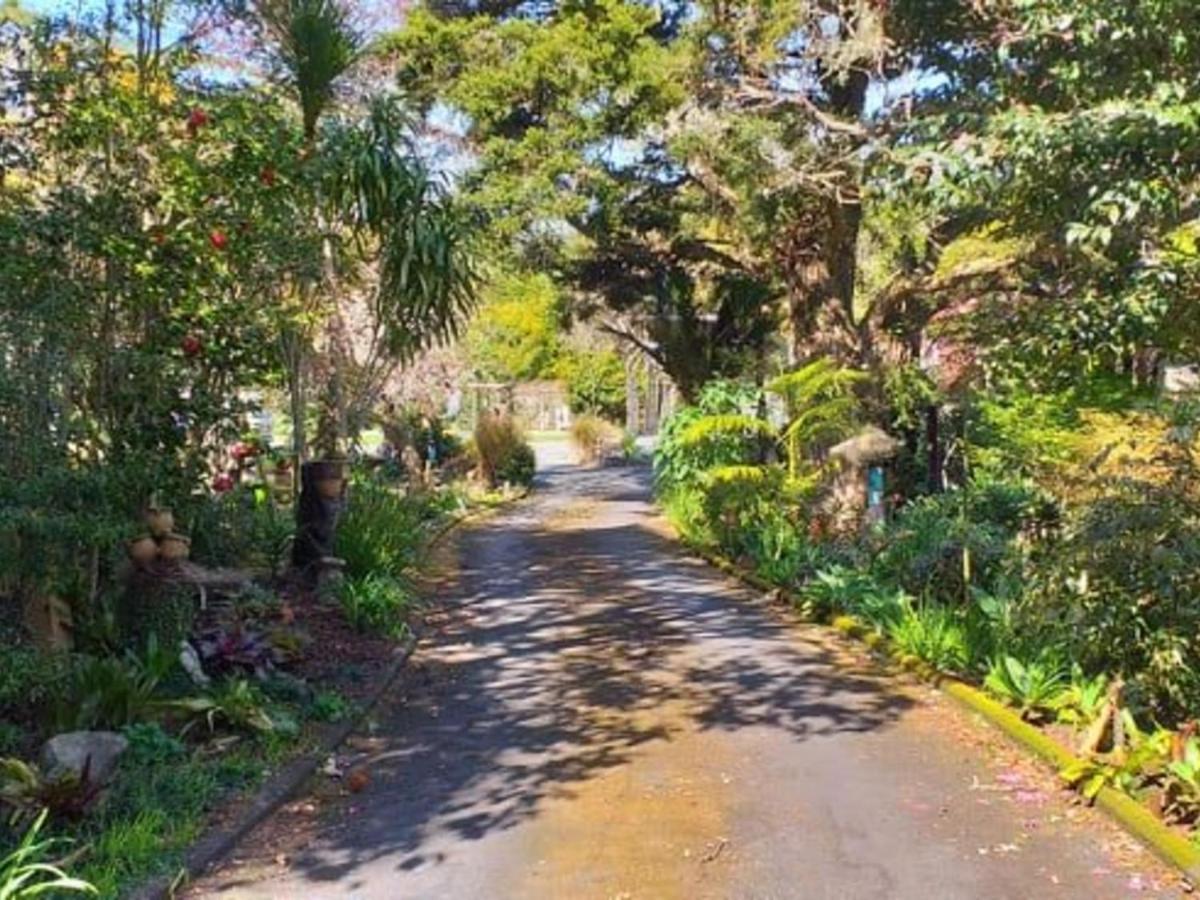 Waimoana Garden Accommodation Whangarei Eksteriør bilde